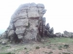 Stein